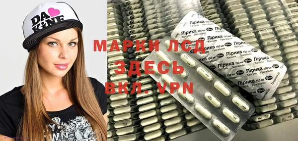 прущие грибы Алзамай