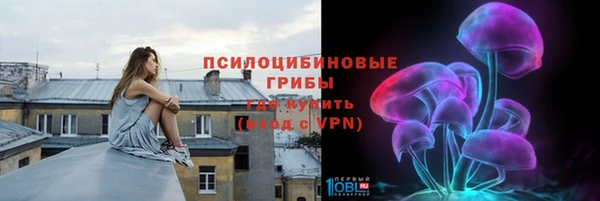 прущие грибы Алзамай