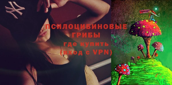 индика Алексеевка