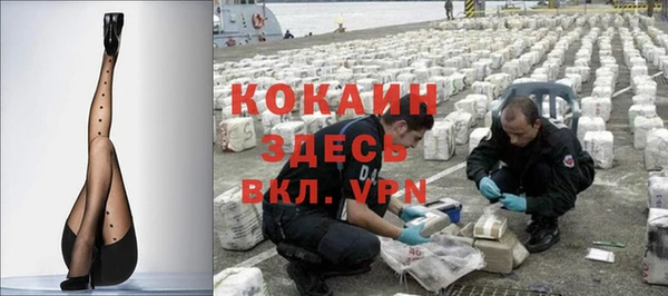 индика Алексеевка