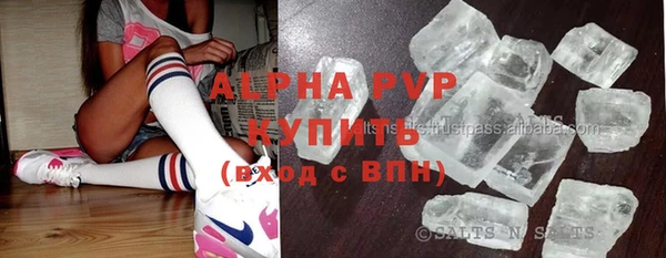 прущие грибы Алзамай
