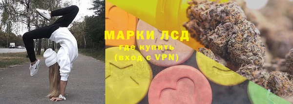 прущие грибы Алзамай