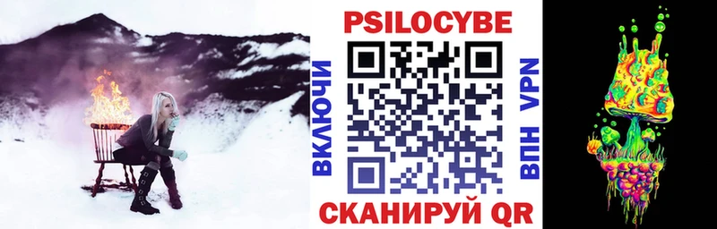кракен как войти Салехард Псилоцибиновые грибы Cubensis цена наркотик